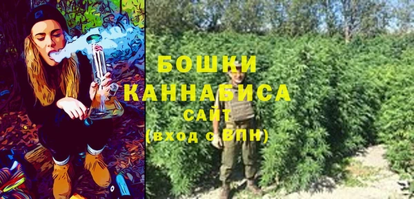 PSILOCYBIN Алексин