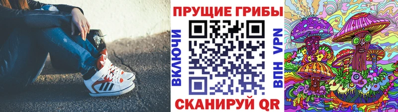 Псилоцибиновые грибы Psilocybe  darknet какой сайт  Междуреченск  купить  сайты 
